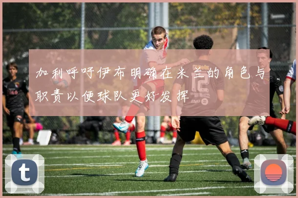 加利呼吁伊布明确在米兰的角色与职责以便球队更好发挥